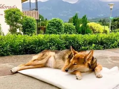Ferienwohnung für 6 Personen (125 m²) in Bolsterlang 9/10