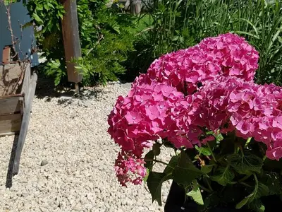 Ferienwohnung für 4 Personen (60 m²) in Bolsterlang 10/10