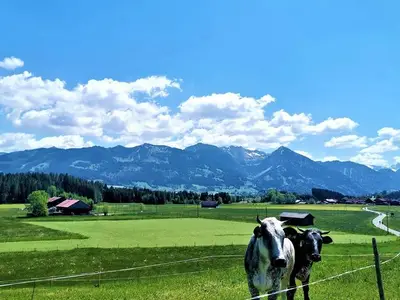 Ferienwohnung für 4 Personen (83 m²) in Bolsterlang 7/10