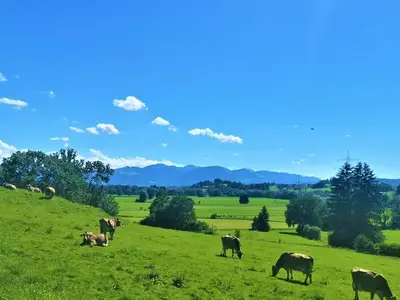 Ferienwohnung für 4 Personen (83 m²) in Bolsterlang 8/10