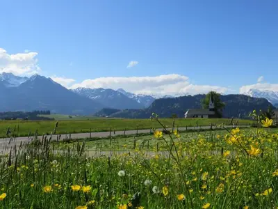 Ferienwohnung für 4 Personen (58 m²) in Bolsterlang 2/10