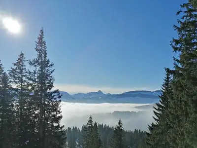 Ferienwohnung für 3 Personen (38 m²) in Bolsterlang 2/10