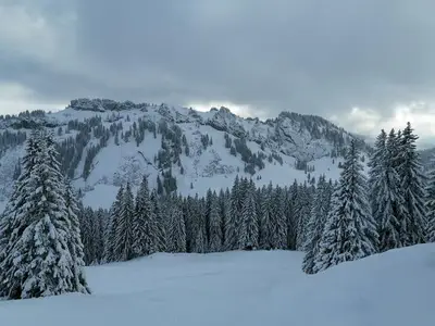Ferienwohnung für 3 Personen (38 m²) in Bolsterlang 4/10