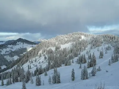 Ferienwohnung für 3 Personen (38 m²) in Bolsterlang 5/10