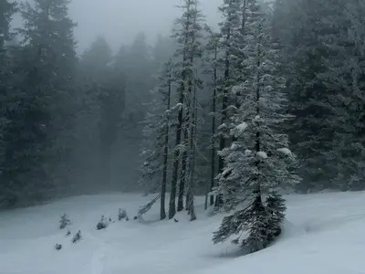 Ferienwohnung für 3 Personen (38 m²) in Bolsterlang 6/10