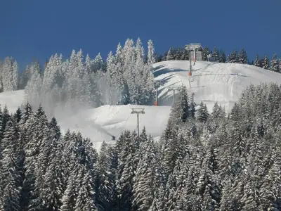 Ferienwohnung für 3 Personen (30 m²) in Bolsterlang 7/10