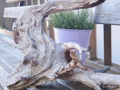 Ferienwohnung für 4 Personen (80 m²) in Bolsterlang 5/10