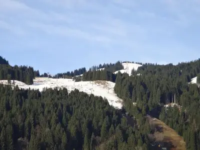 Ferienwohnung für 4 Personen (80 m²) in Bolsterlang 6/10