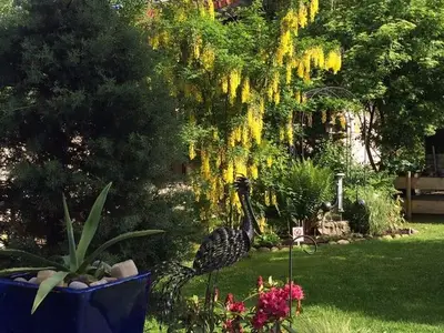 Ferienwohnung für 4 Personen (70 m²) in Bolsterlang 6/10