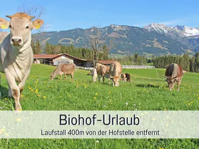 Biohof Burger Urlaub auf dem Biohof