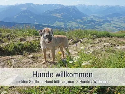 Biohof Burger Hunde willkommen