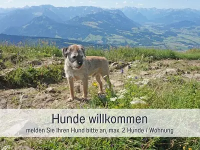 Ferienwohnung für 5 Personen (80 m²) in Bolsterlang 3/10