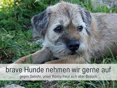 Ferienwohnung für 5 Personen (80 m²) in Bolsterlang 8/10