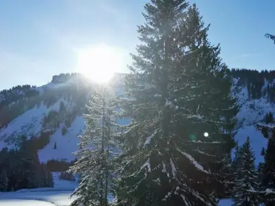 Ferienwohnung für 3 Personen (38 m²) in Bolsterlang 3/10