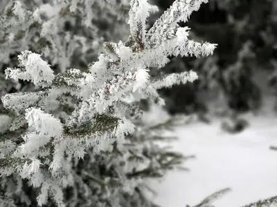 Ferienwohnung für 3 Personen (38 m²) in Bolsterlang 7/10