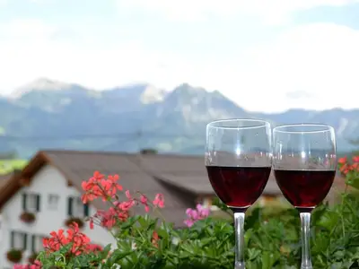 Ferienwohnung für 3 Personen (55 m²) in Bolsterlang 10/10