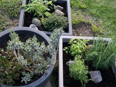 Ferienwohnung für 4 Personen (64 m²) in Boltenhagen (Ostseebad) 4/10