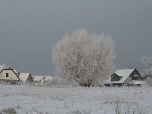 23956517-Ferienwohnung-4-Boltenhagen (Ostseebad)-300x225-2