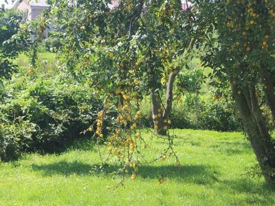 Ferienwohnung für 2 Personen (52 m²) in Boltenhagen (Ostseebad) 9/10