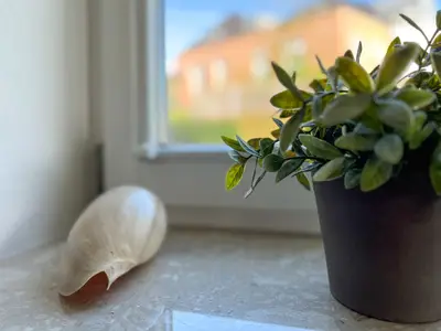 Wohnzimmer mit Dekoratives Detail