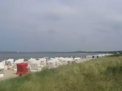 Ferienwohnung für 3 Personen (48 m²) in Boltenhagen (Ostseebad) 7/10