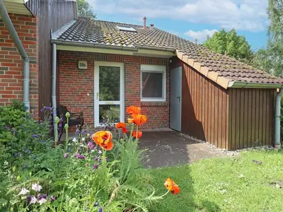 Ferienwohnung für 5 Personen (54 m²) in Boltenhagen (Ostseebad) 1/10