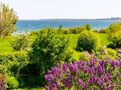 Ferienwohnung für 5 Personen (95 m²) in Boltenhagen (Ostseebad) 7/10