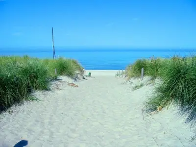 Ferienwohnung für 6 Personen (70 m²) in Boltenhagen (Ostseebad) 10/10