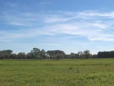 Ferienwohnung für 4 Personen (40 m²) in Boltenhagen (Ostseebad) 10/10
