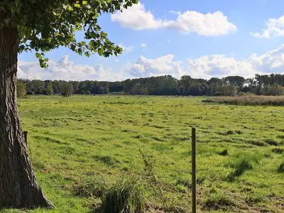 Ferienwohnung für 2 Personen (38 m²) in Boltenhagen (Ostseebad) 8/10