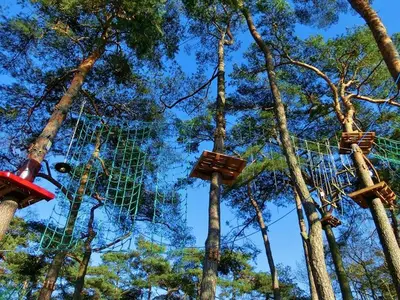 Ferienwohnung für 4 Personen (49 m²) in Boltenhagen (Ostseebad) 10/10