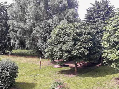Ferienwohnung für 5 Personen (70 m²) in Bömitz 5/10