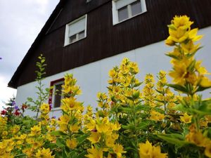 23921238-Ferienwohnung-2-Bonndorf im Schwarzwald-300x225-2