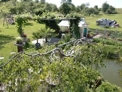 Ferienwohnung für 2 Personen (40 m²) in Bonndorf im Schwarzwald 6/10