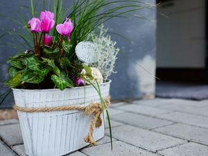 Ferienwohnung für 4 Personen (70 m&sup2;) in Boos (Mayen-Koblenz)