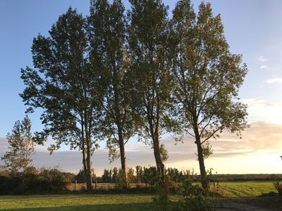 Ferienwohnung für 4 Personen (75 m²) in Börgerende-Rethwisch 3/10