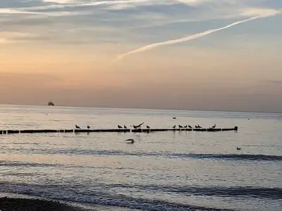 Ferienwohnung für 4 Personen (49 m²) in Börgerende-Rethwisch 6/10