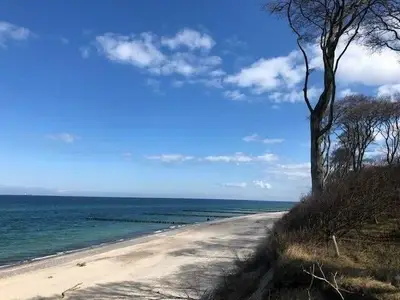 Ferienwohnung für 4 Personen (49 m²) in Börgerende-Rethwisch 8/10