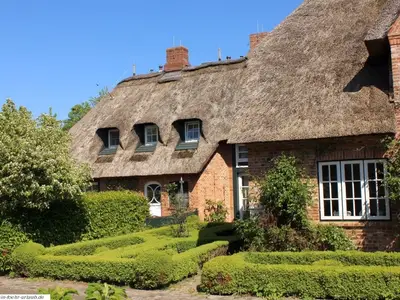 Ferienwohnung für 4 Personen (65 m²) in Borgsum 1/10