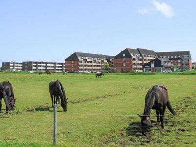 Ferienwohnung für 2 Personen (50 m²) in Borkum 1/10