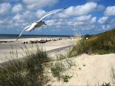 Ferienwohnung für 4 Personen (60 m²) in Borkum 8/8