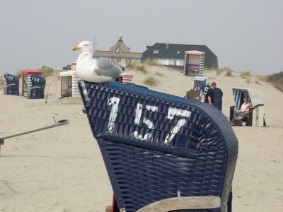 Ferienwohnung für 6 Personen (100 m²) in Borkum 1/10