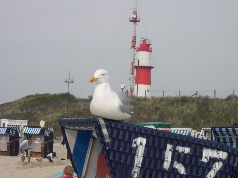 21728661-Ferienwohnung-3-Borkum-800x600-0