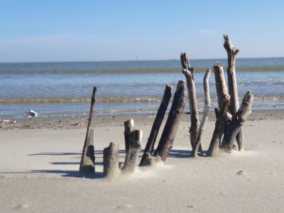 Ferienwohnung für 2 Personen (45 m²) in Borkum 9/10