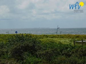 23827946-Ferienwohnung-2-Borkum-300x225-5