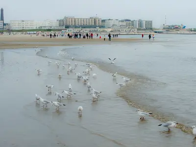 Ferienwohnung für 2 Personen (45 m²) in Borkum 10/10