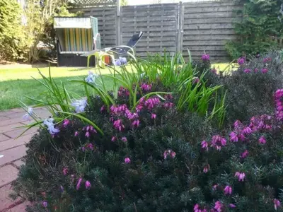 Ferienwohnung für 4 Personen (76 m²) in Borkum 3/10