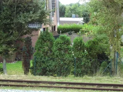 Ferienwohnung für 4 Personen (76 m²) in Borkum 3/10