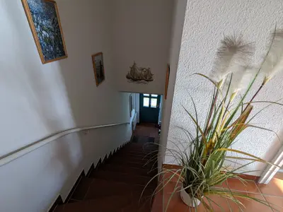 Ferienwohnung für 3 Personen (55 m²) in Born am Darß 10/10