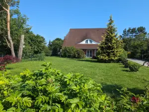 Ferienwohnung für 2 Personen (25 m²) in Born am Darß